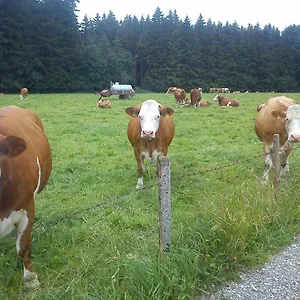 Ferienwohnung Auf Dem Lechsberg , Fuchstal Alemania